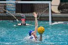 WWPolo vs CC  Wheaton College Women’s Water Polo vs Connecticut College. - Photo By: KEITH NORDSTROM : Wheaton, water polo